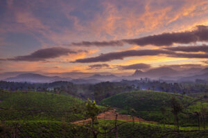 Valparai