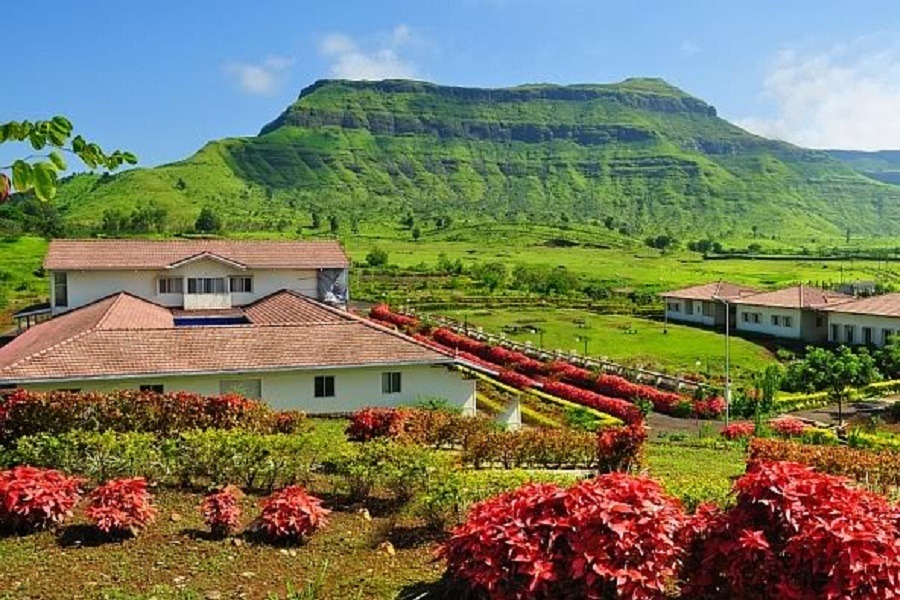 Camel Valley