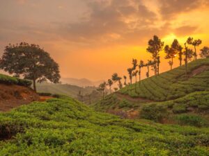 hill station in south india