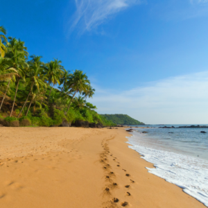 Majorda Beach is one of the best beaches in South Goa