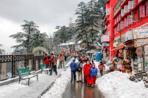 Foods and drinks you have to try in Shimla