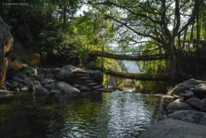 Best Time to Visit the Double Decker Living Bridge in Meghalaya