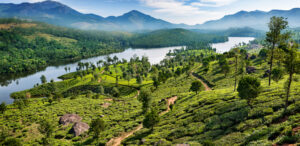 best time to visit munnar